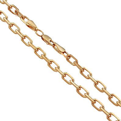 Collar Chain Live Continuum Pendant PNG