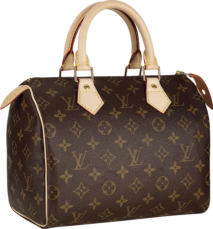 Handbag Fashion Vuitton Gucci Louis PNG