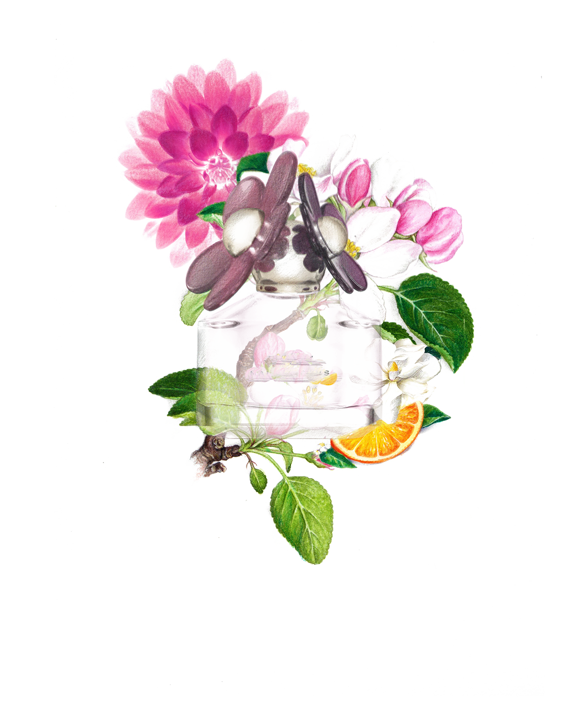 Pink Petal Miss Painting Plants PNG