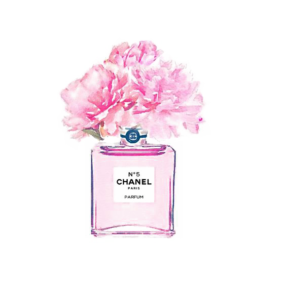 Painting Chanel Flower Watercolor Perfume PNG