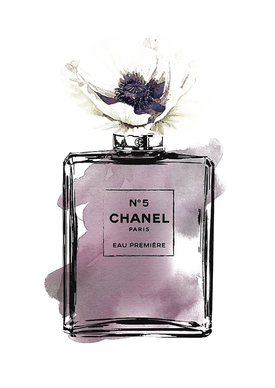 Fashion Perfume Drawing Chanel Printing PNG