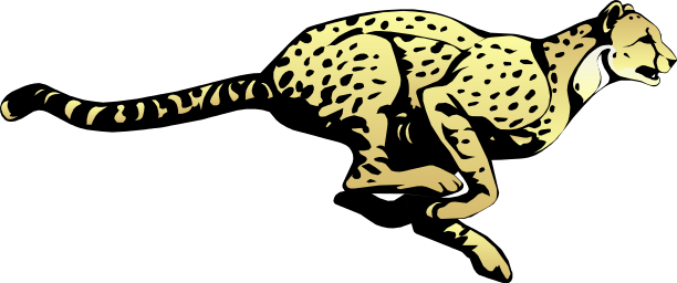 Cheetah Cats Fat Anteater Nature PNG