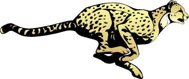 Leopard Cheetah Chimp Lioness Planet PNG