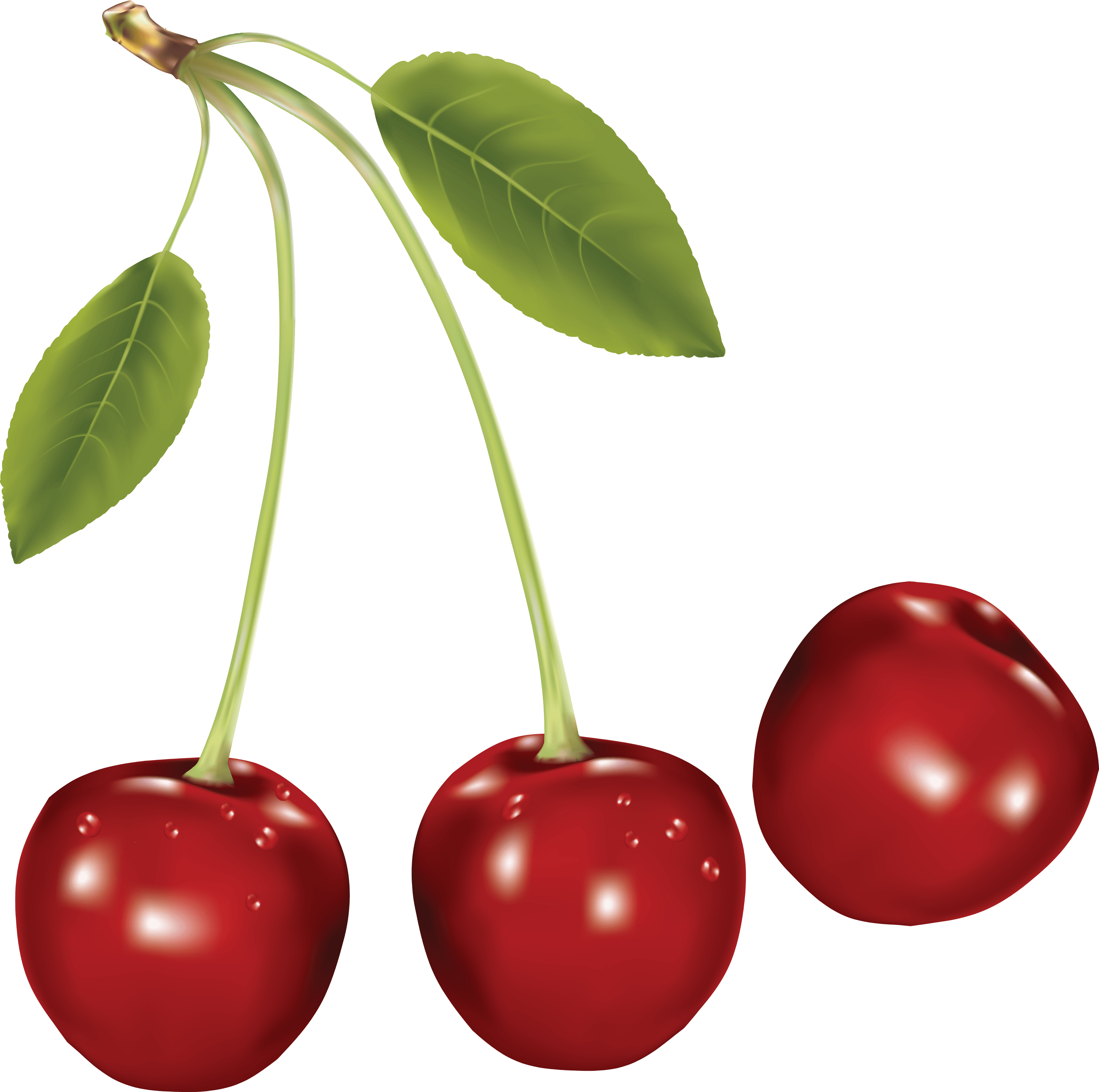 Cherries Colored Virgin Scarlet Pony PNG