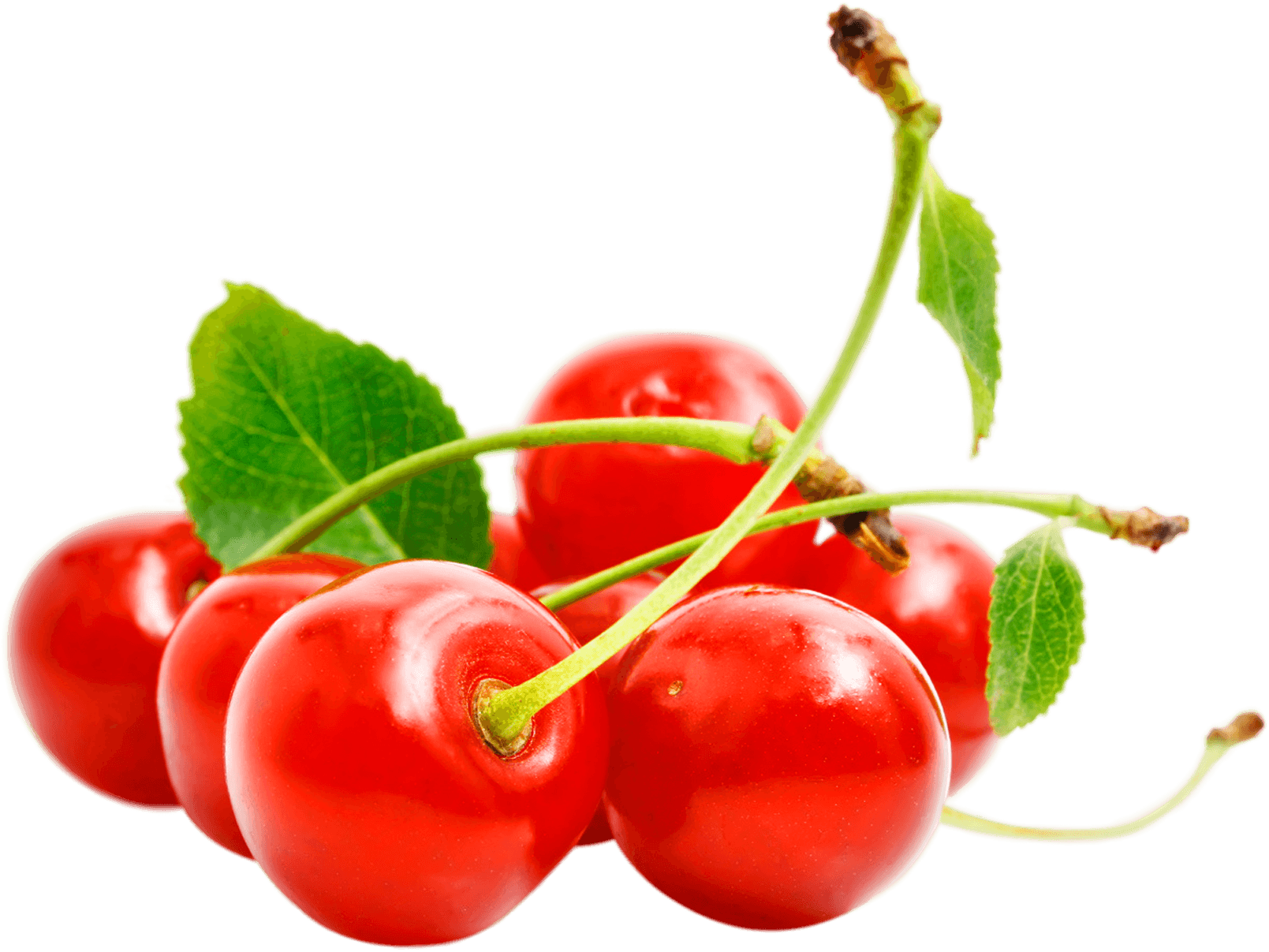 Scarlet Salad Pin Chromatic Cherry PNG