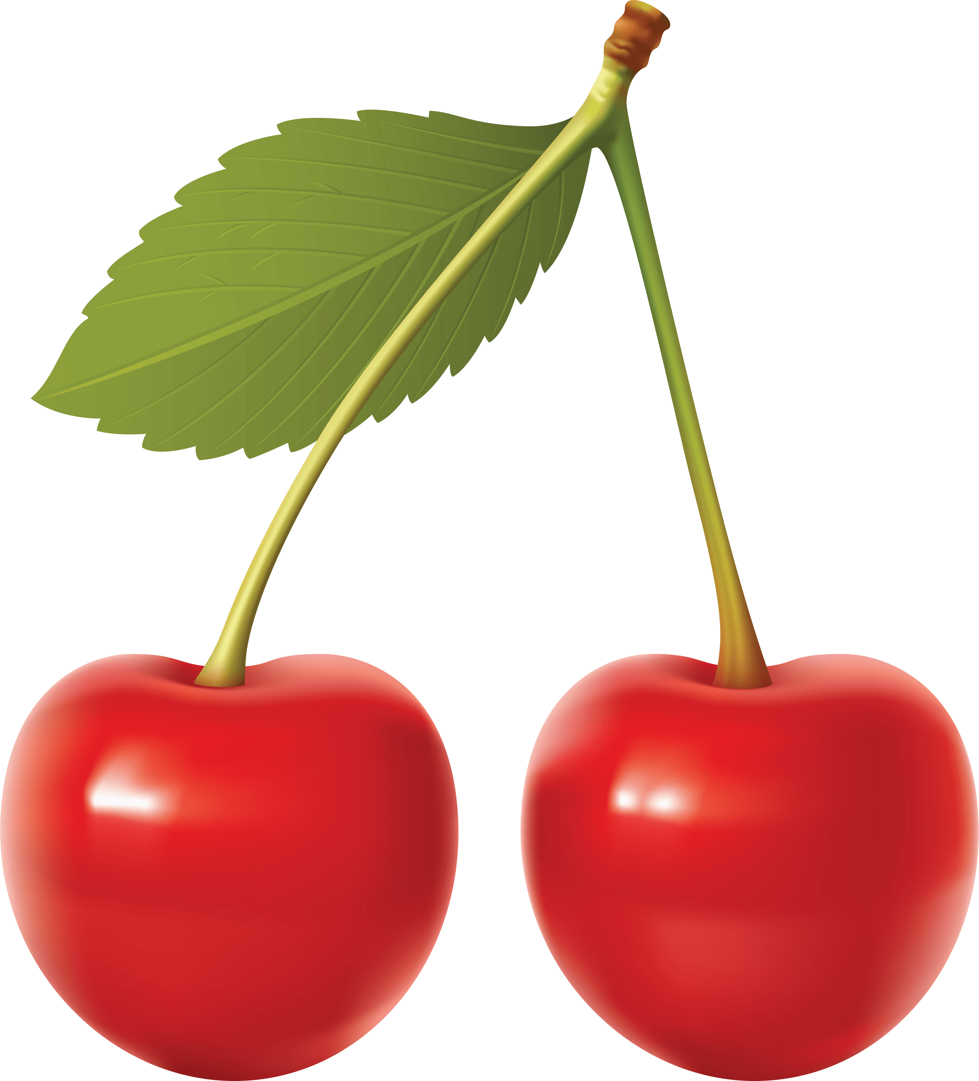 Carmine Better Cherry Motivation Bean PNG