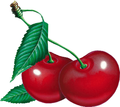 Cherry Bruise Sherry Canon Darling PNG