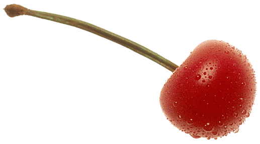 Reddish Watermelon Bruise Fruit Delicious PNG