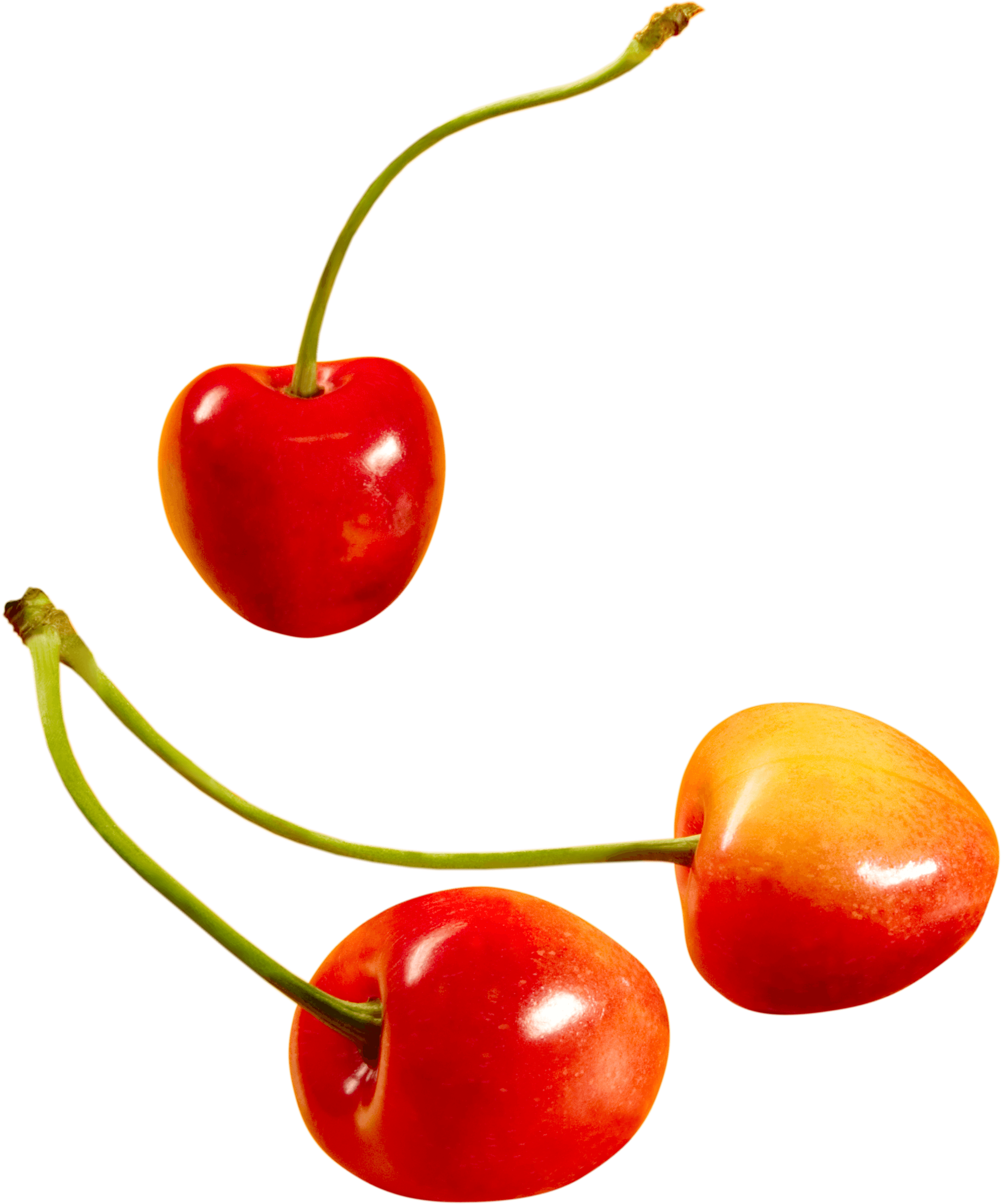 Scarlet Smoothie Reddish Sherry Pin PNG