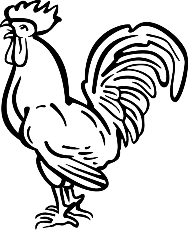 Fowl Puss Poultry Pork Tattoo PNG