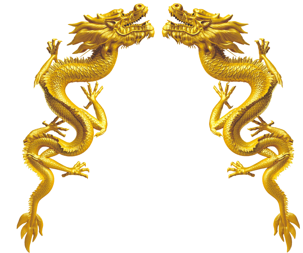 Zips Country Golden Dragon Chinese PNG