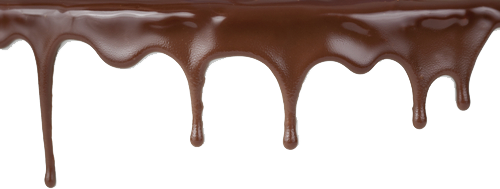 Fudge Chocolaty Fashionista Praline Delicious PNG