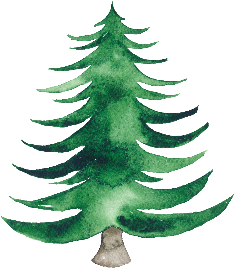 Watercolor Christmas Holidays Tree Boxing PNG