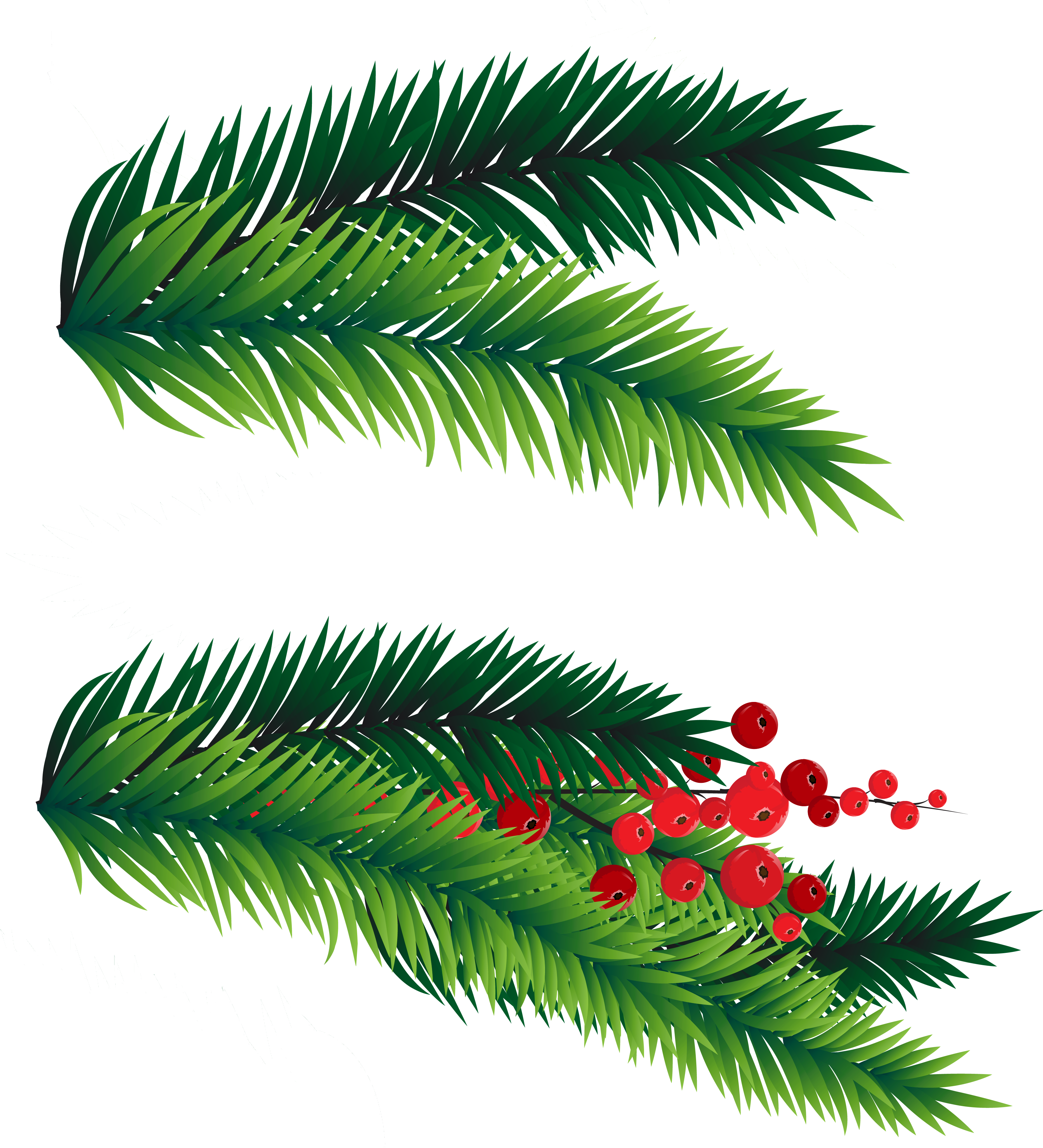 Celebrations Bells Holidays Christmas Branches PNG