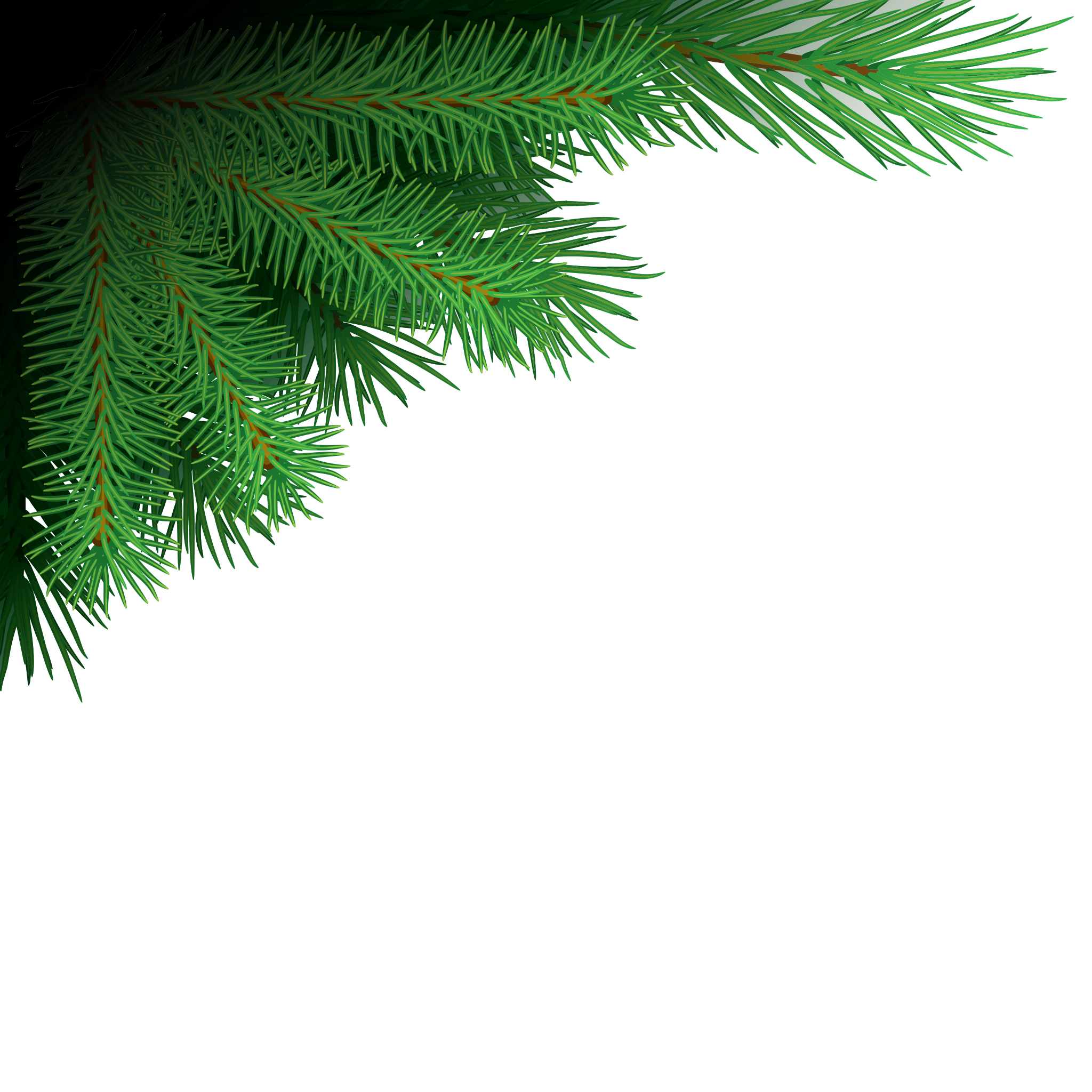 Branches Christmas Noel Native Holidays PNG
