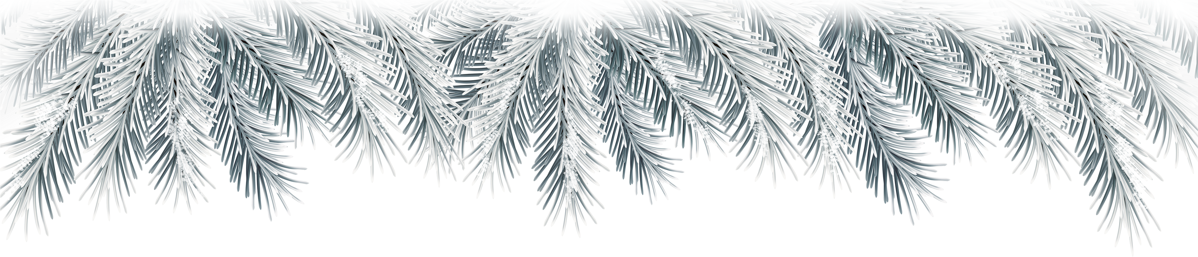 Holidays Native Christmas Pressie Branches PNG