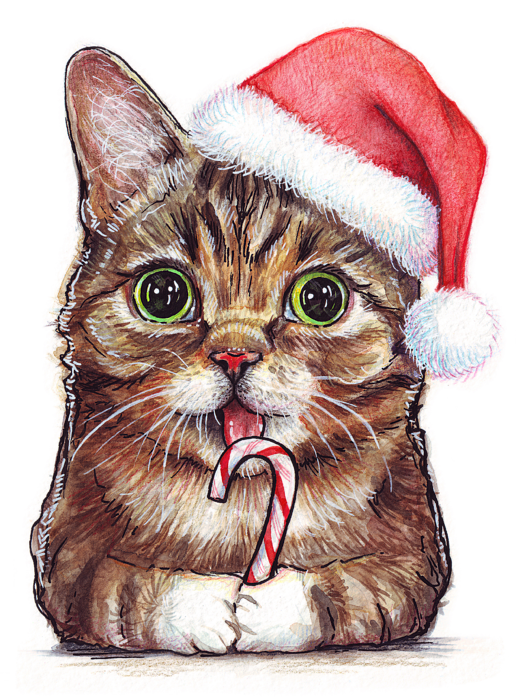 Holidays Christmas Curtain Native Kitten PNG