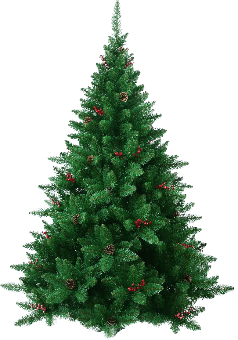 Christmas Holidays Yuletide Fir Tree PNG