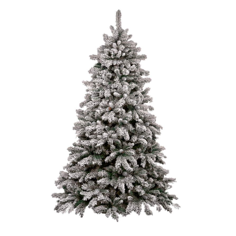 Holiday Tree Fir Birthplace Christmas PNG