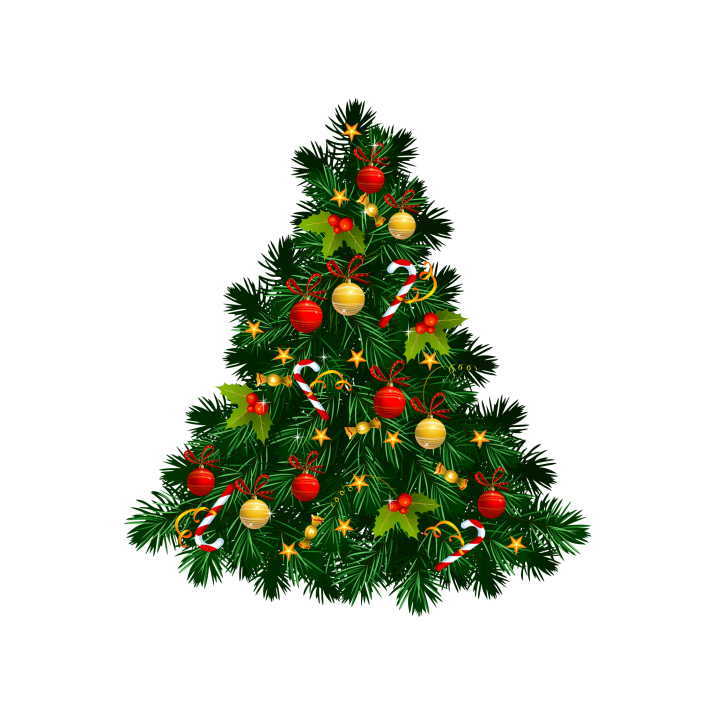 Christmas Native Natal Celebrations Tree PNG