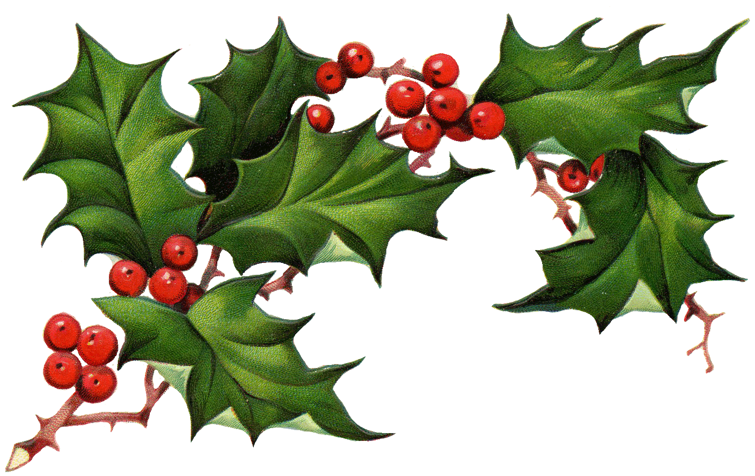 Holidays Elements Christmas Birthday Yule PNG