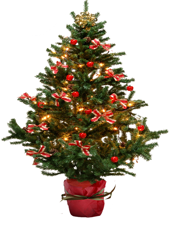 Eve Tree Yuletide Christmas Yule PNG