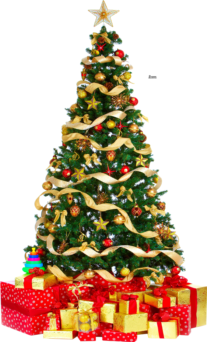 Season Celebrations Holidays Noel Wreath PNG