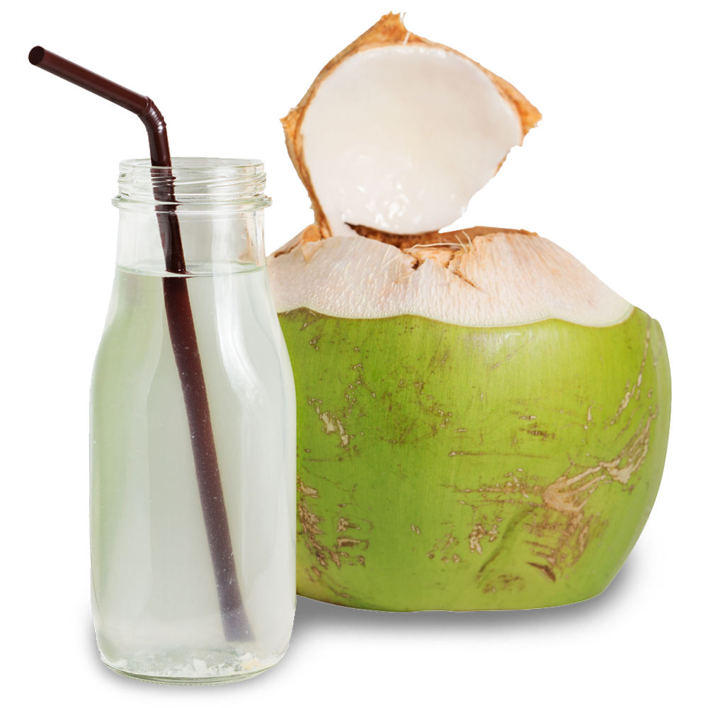 Macadamia Coconut Mango Fresh Commie PNG