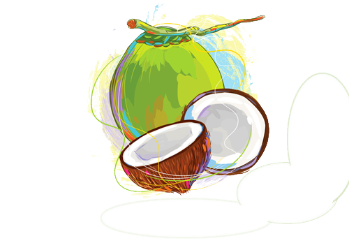 Green Food Breadfruit Coconut Cinnamon PNG