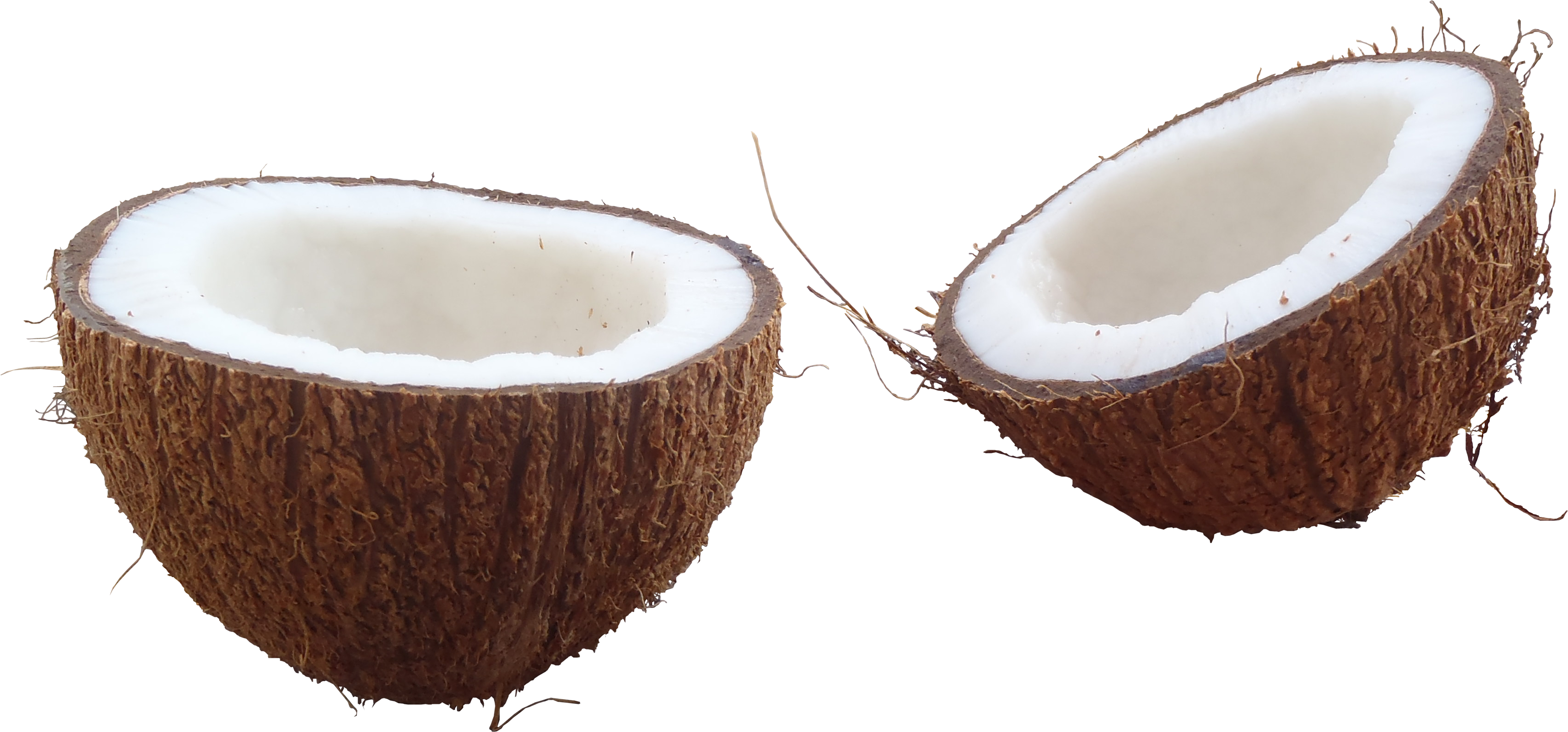 Style Cute Luxury Coconut Fruits PNG