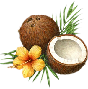 Beauty Breakfasts Banana Luxury Coconut PNG