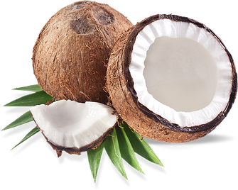 Foodie Coconut Sweetheart Boy Ginger PNG