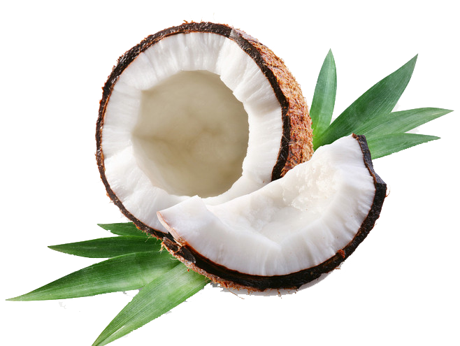 Macadamia Jesus Butter Coconut Fat PNG