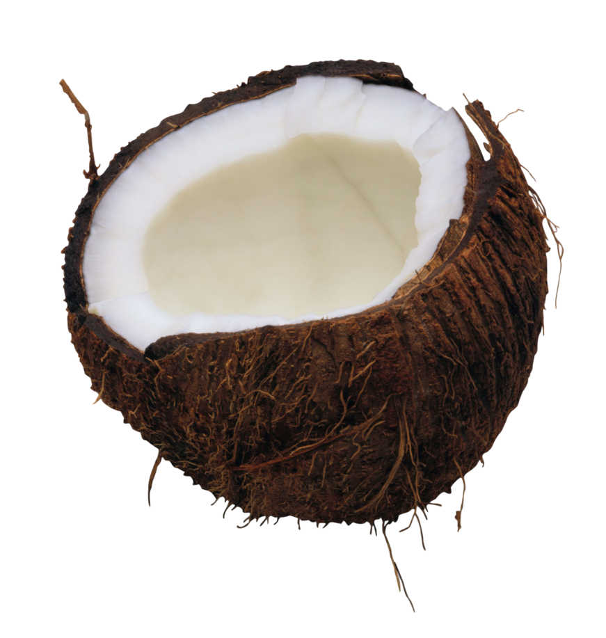 Buddy Coconut Tapioca Foodie Style PNG