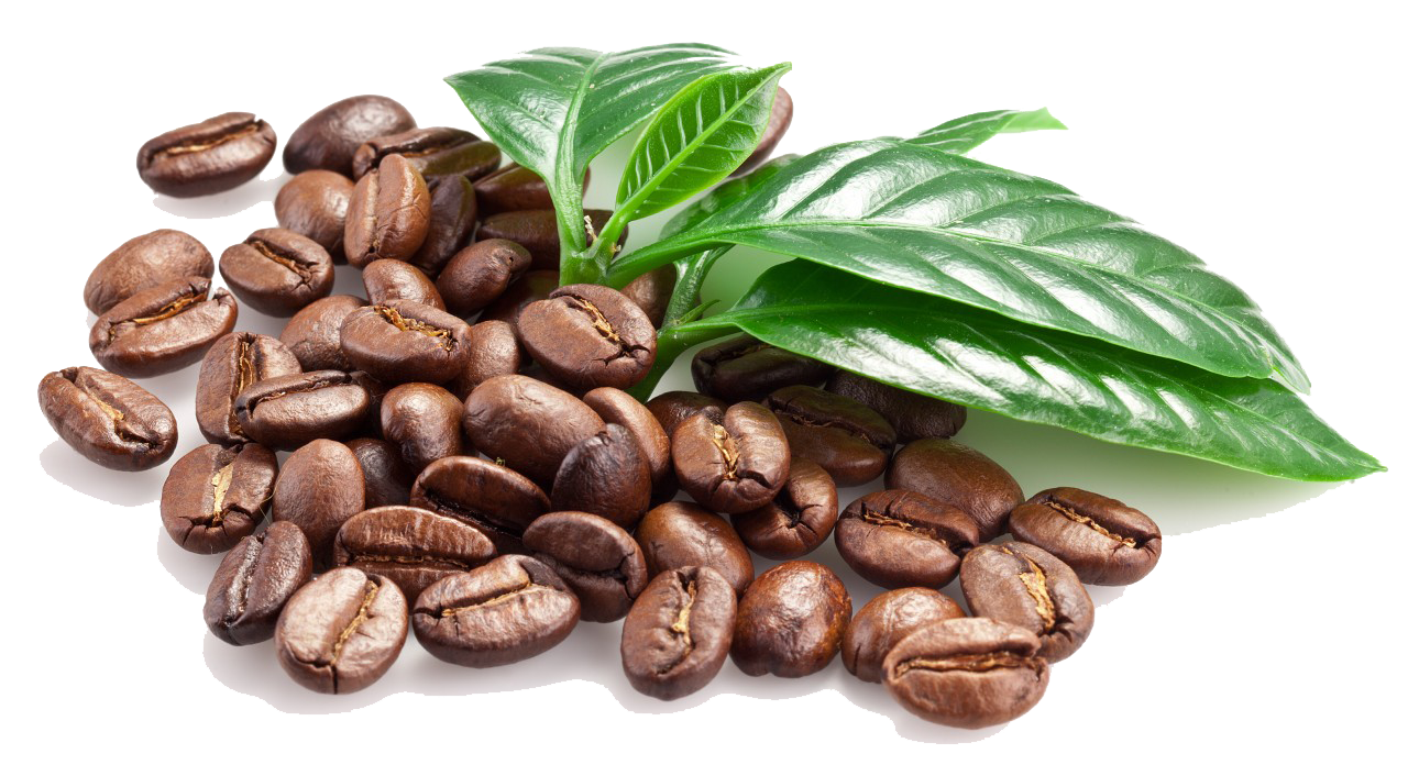 Burger Coffee Chocolate Plantation Beans PNG