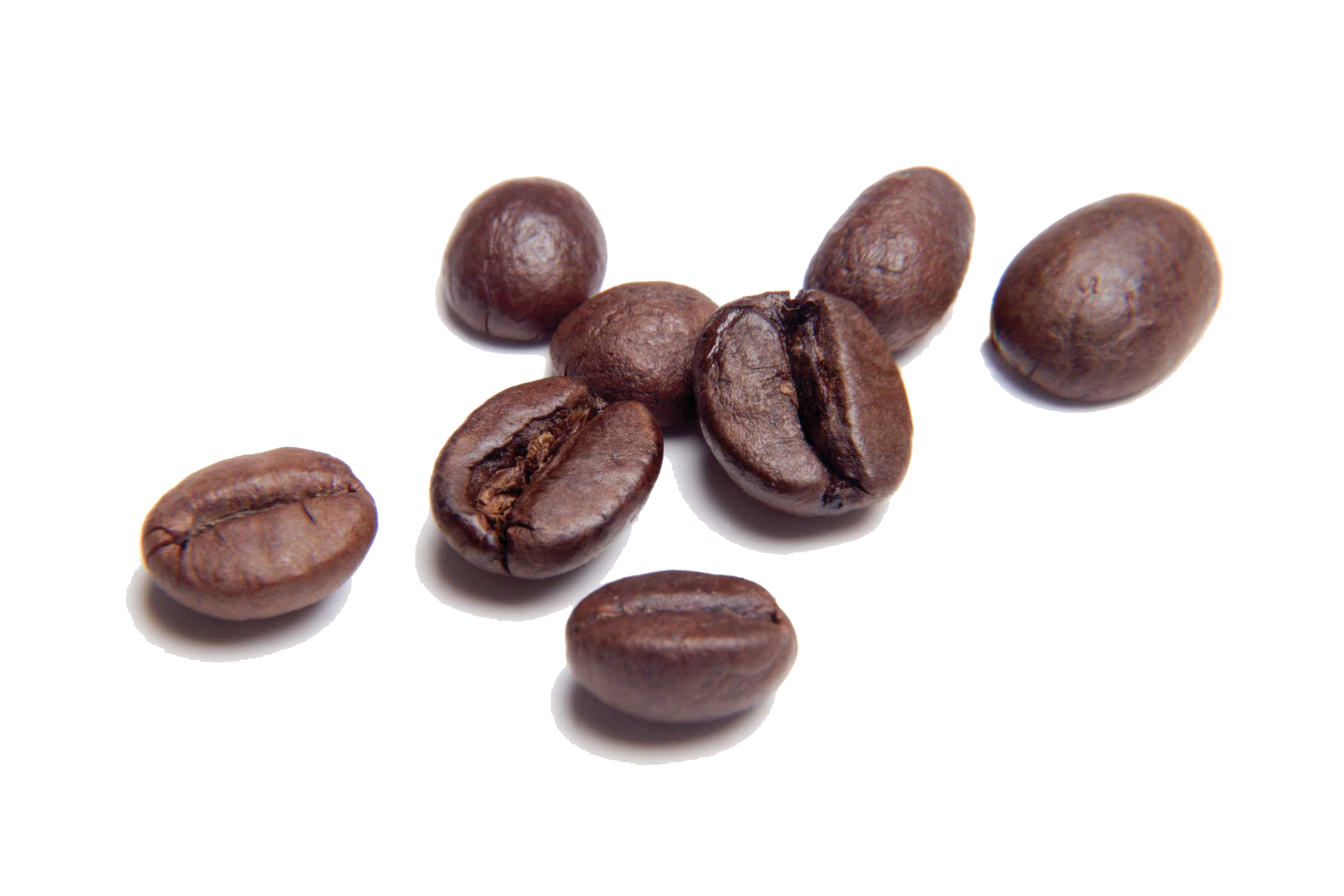 Minute Coffee Luxury Beans Style PNG