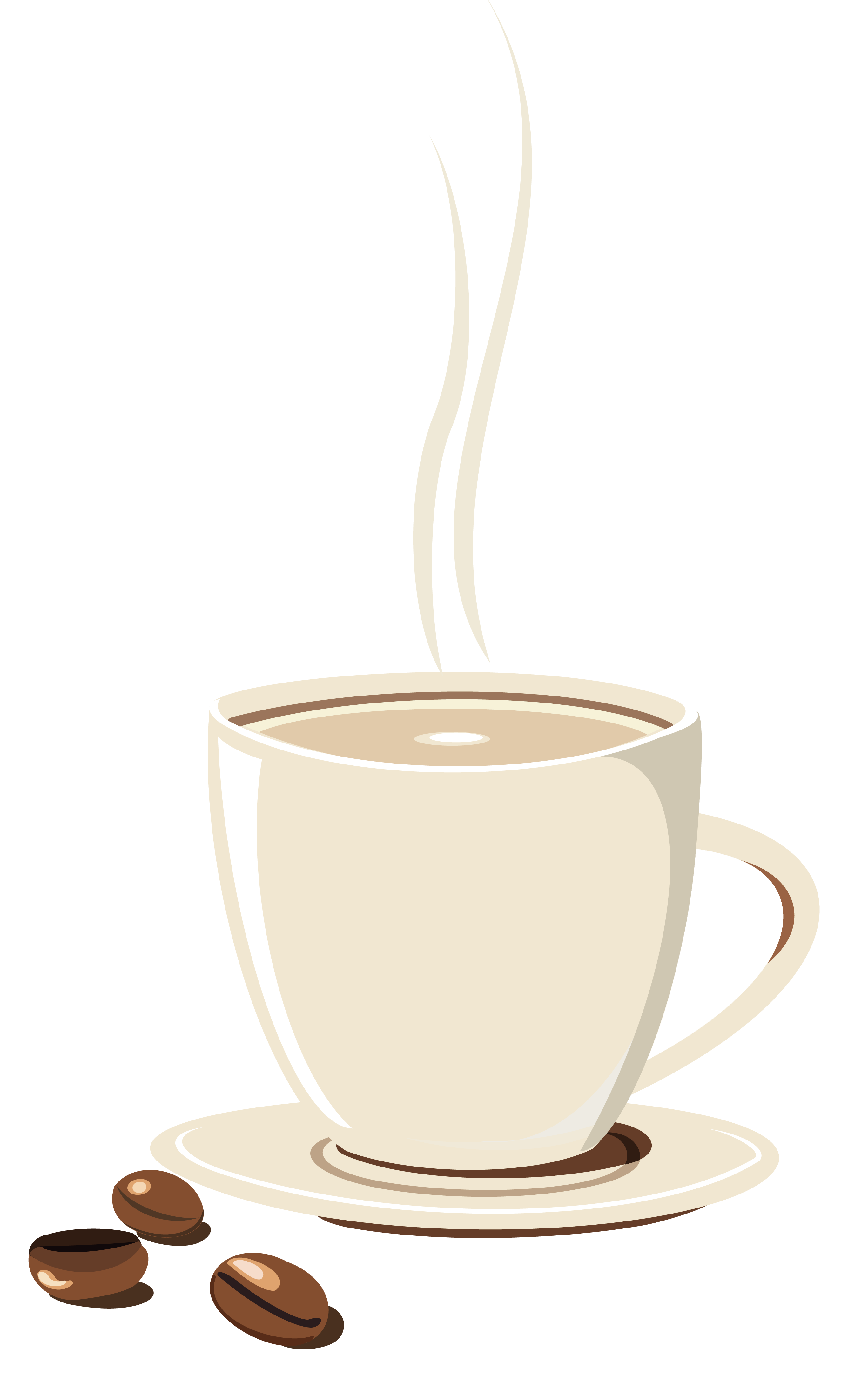 Cup Single-Origin Cafe Shop Tea PNG