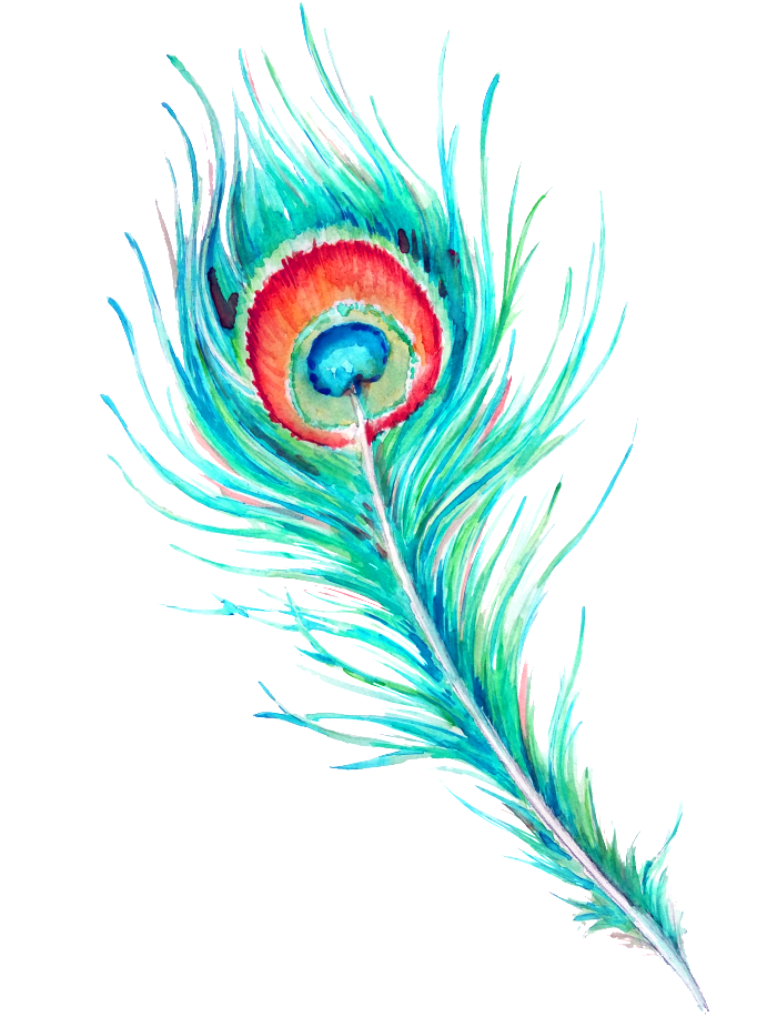 Watercolor Unrestrained Feather Flashy Gaudy PNG