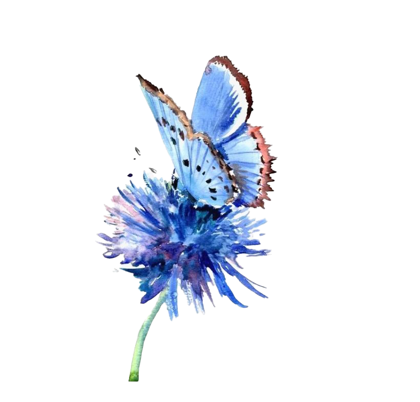 Iridescent Butterfly Purple Gaudy Art PNG