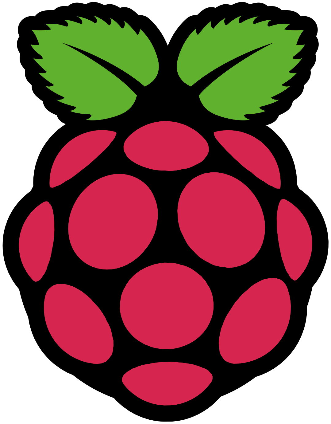 Computer System Cps Raspberry Flea PNG