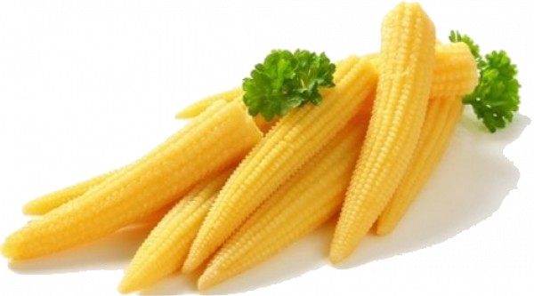 Cornstalks Vegetables Baby Cobs Canola PNG