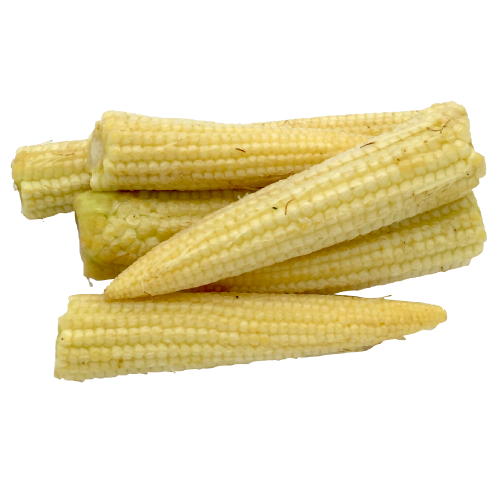 Cobs Baby Corn Vegetables Mature PNG