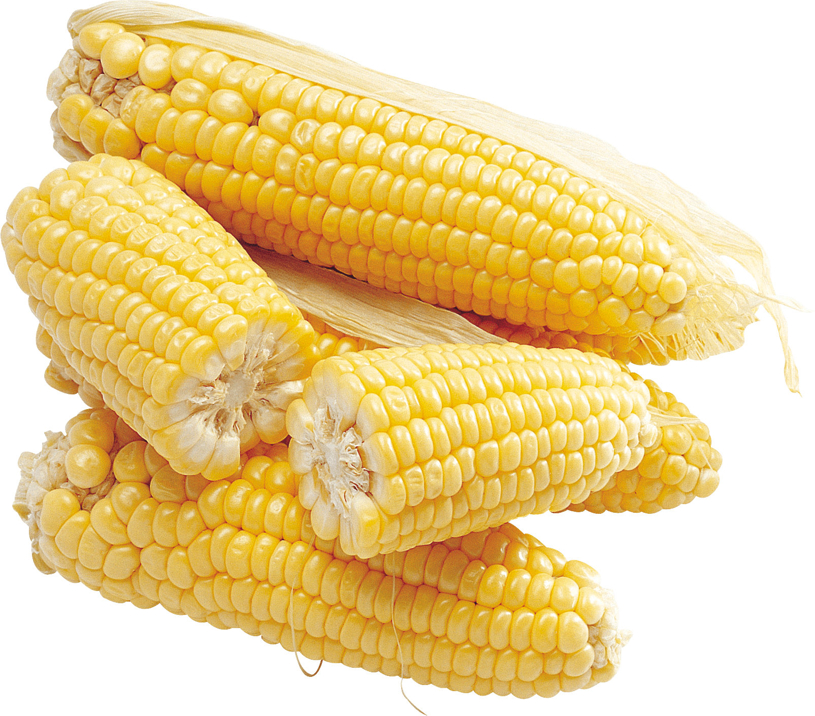 Maize Vegan Corn Green Luxury PNG