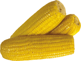 Performance Corn Barley Fruits Health PNG