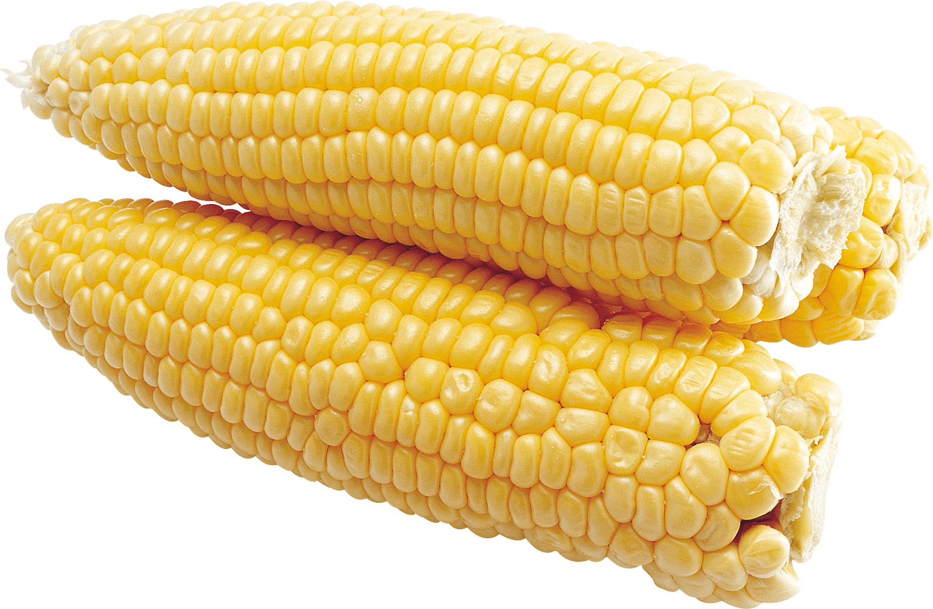 Corn Shucking Sorghum Cereals Schmaltz PNG