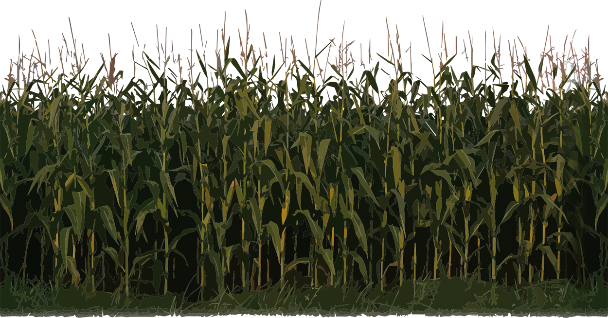 Plant Puppy Corn Sorghum Bacon PNG