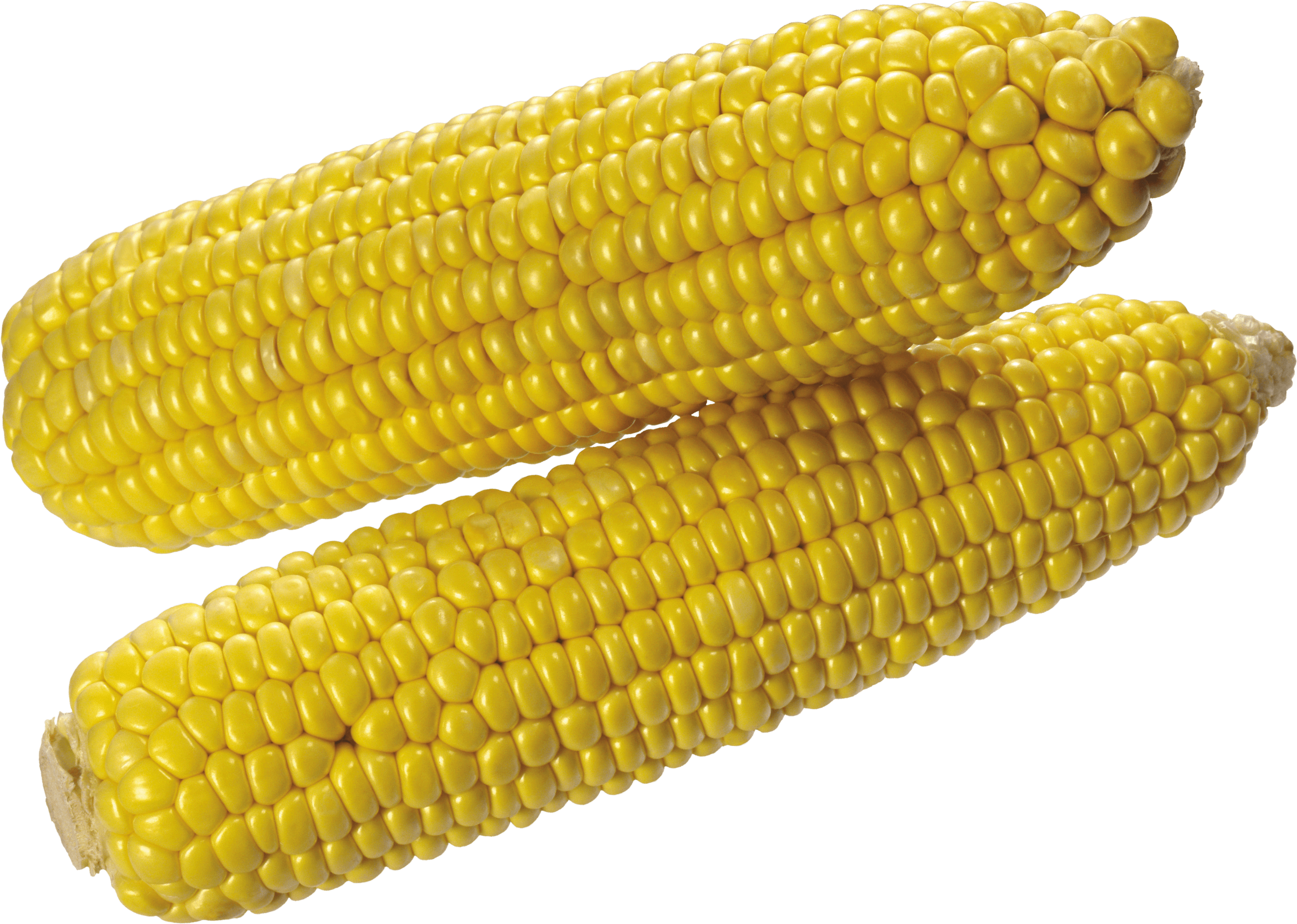 Elite Corn Bean Cornfield Fruit PNG