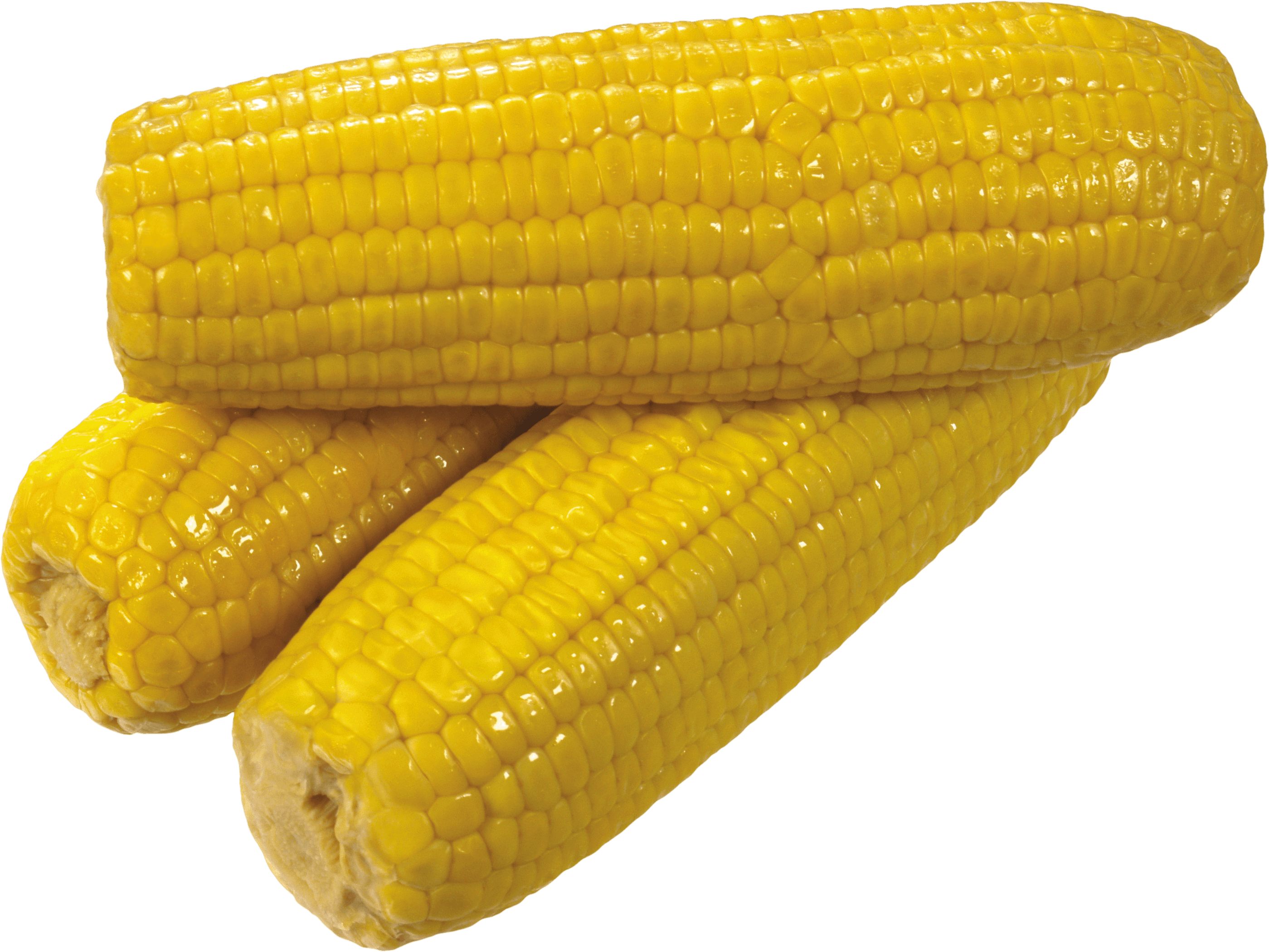 Atom Fitness Dinnertime Entrepreneur Corn PNG