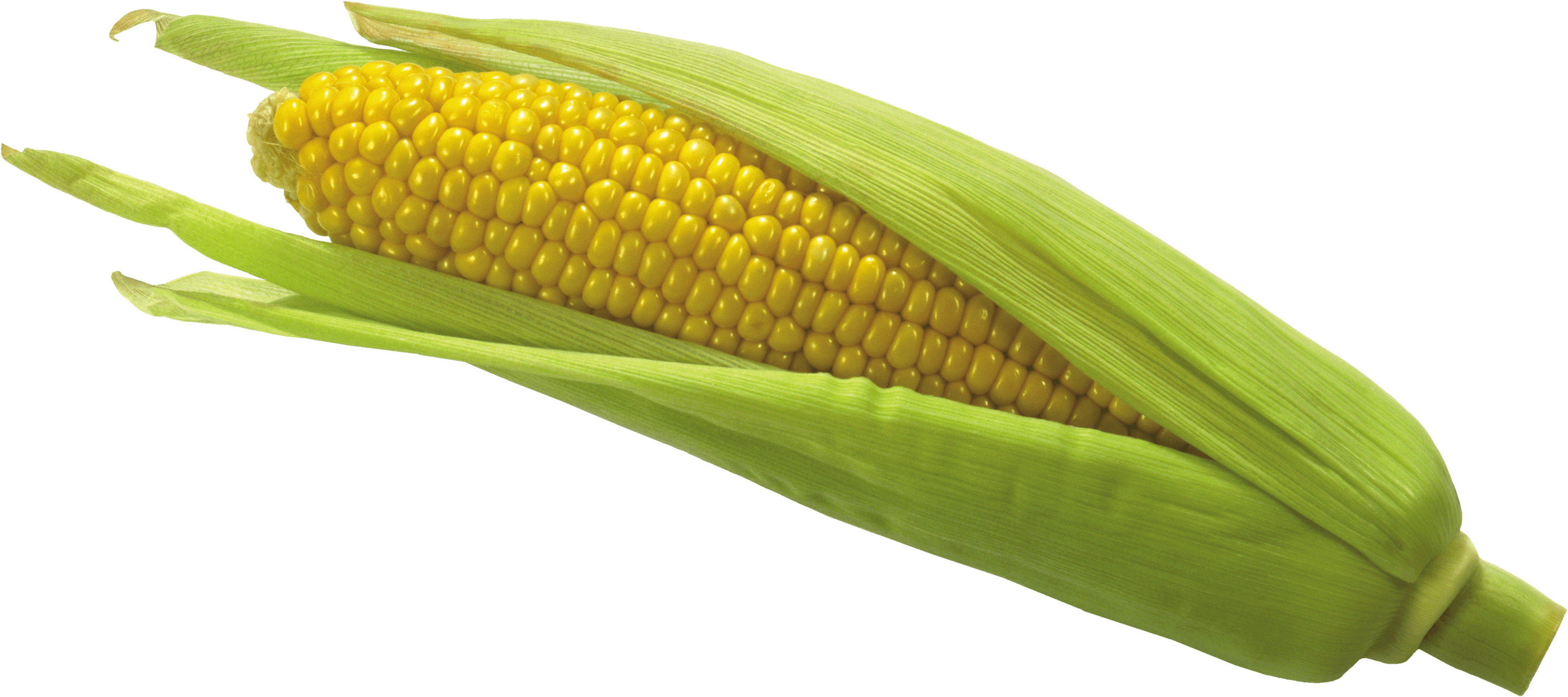 Vegan Corn Shucking Fruits Luxury PNG
