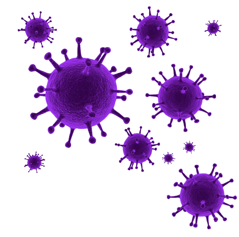 Coronavirus Medical Quality High Disease PNG
